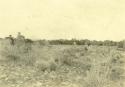 Showing a huge ruin on Mr. Littrell's Ranch at head of Yellow Jacket Canyon