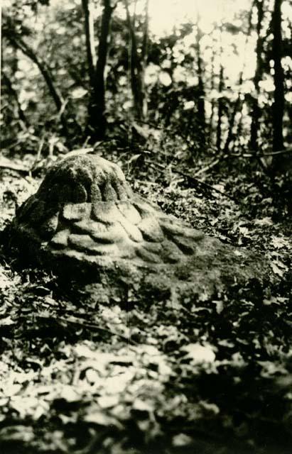 Rock carving on ground in forest.