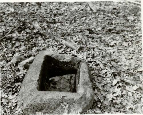 Watering trough