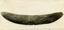 Whale-tail atlatl weight in Norris L. Bull collection