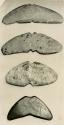 Whale tail atlatl weights in N. L. Bull collection