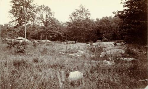 Crystalline outcrop in Nickman Mill road