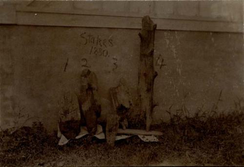 Stakes after being removed from mud, laid against a white wall