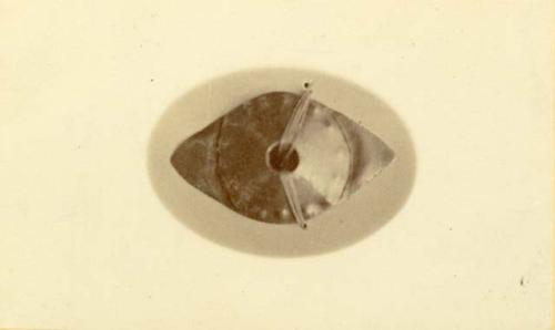 Gold piece, A. M. Harrison, US Coast Survey