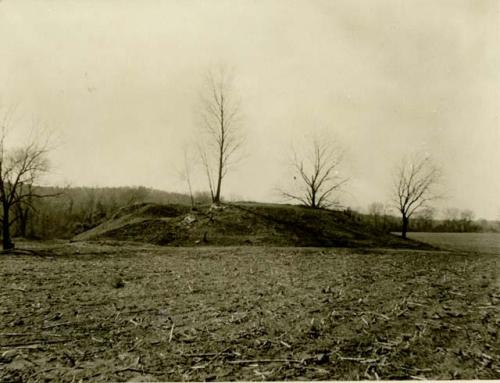 Mound C, looking south