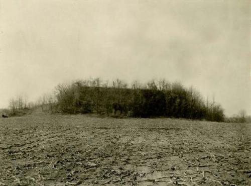 Great Mound. Looking west.