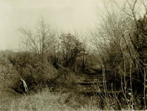 Trench looking northeast from southern portion of r. Thomas' plan.