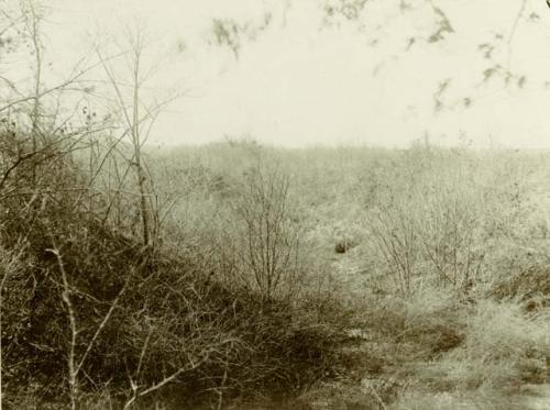 Trench looking southeast from southern