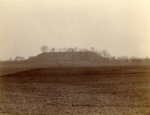 Cahokia mound, looking west