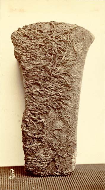 Copper axe in Museum of Davenport, Academy of Sciences, plane-convex