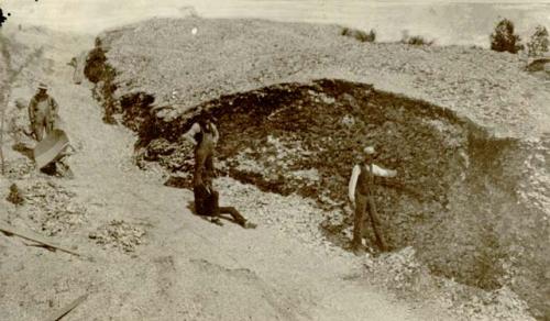 Whaleback Shell Midden