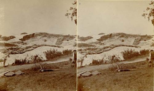 Whaleback Shell Midden