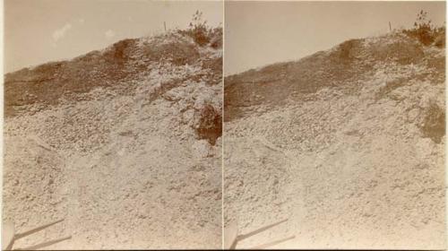 Excavation at Whaleback Shell Midden