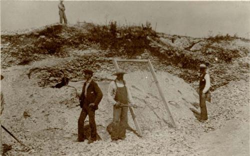 Excavation at Whaleback Shell Midden