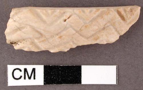 Carved shell fragment