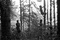 Children climbing in the trees of Homoak