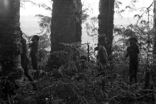 Children climbing in the trees of Homoak