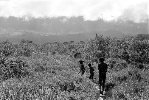 A man and some boys walking along a path