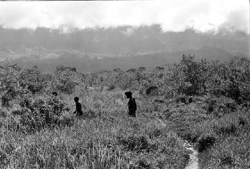 A man and some boys walking along a path