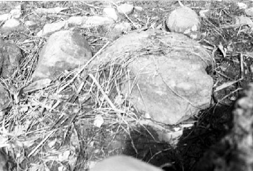 shot of ground and rocks