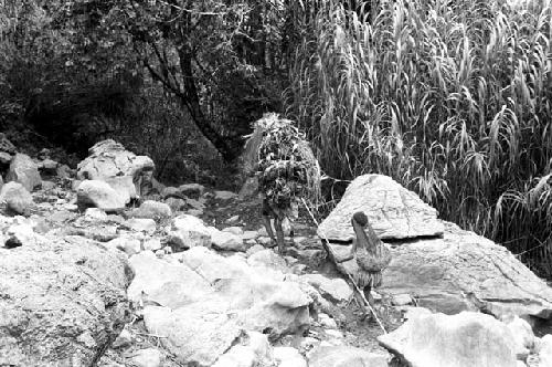 Women walking with great burdens away from salt wells; little girl following woman