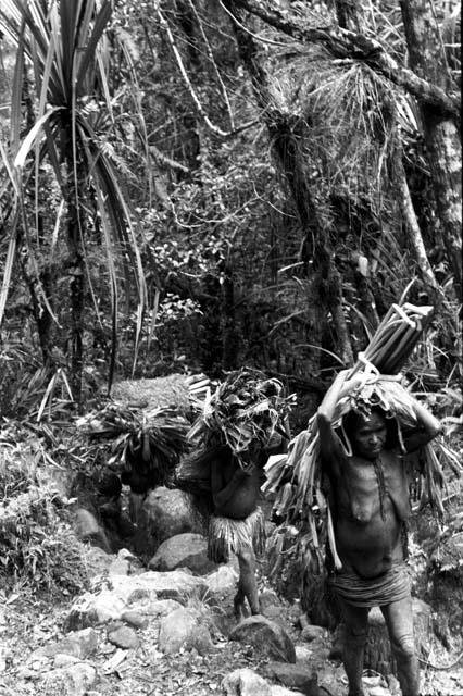 Women carrying immense burdens walking down the salt trail from Eluerainma