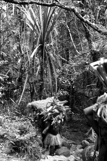 Women carrying immense burdens walking down the salt trail from Eluerainma