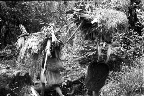 Women walking with large burdens along the trail down from the salt trail