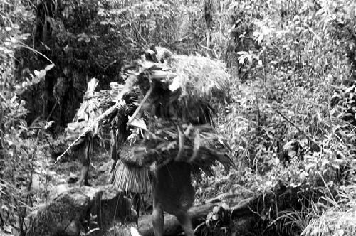 Women walking with large burdens along the trail down from the salt trail