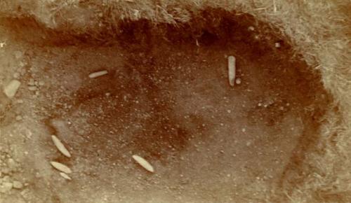 Sections A. Implements 1, 2, 3, 4, 5, 6, 7, and 19. See chart of burial place