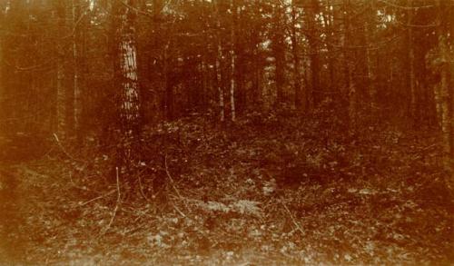 Natural mound. Lake Alanoosook. Site of Indian burial place