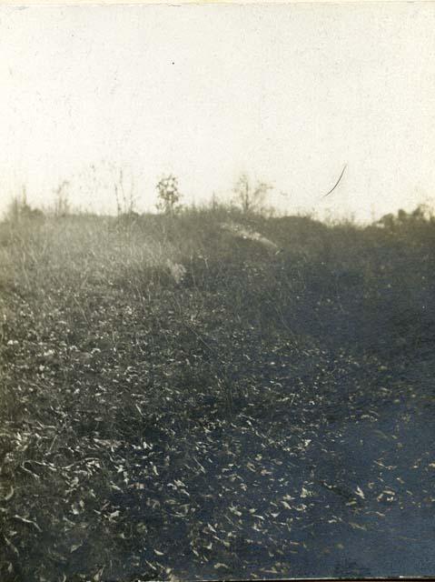 Steatite quarry