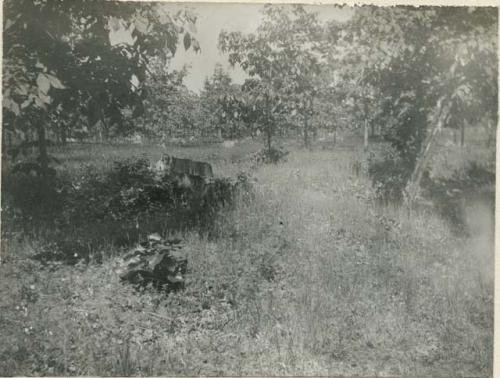 Trench in Forest Park