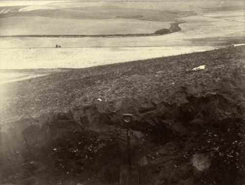 Section of shell heap, North Truro, cape Cod.