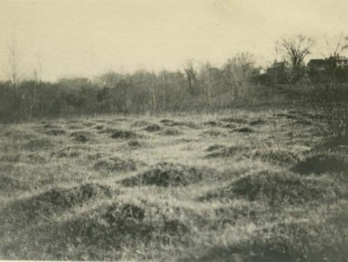 Ancient Indian Corn Fields