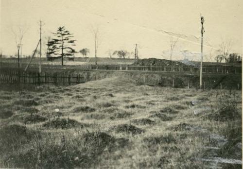 Ancient Indian Corn Fields