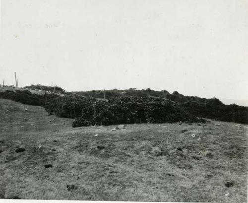 Ancient Indian Burial Place near Brick Yard.