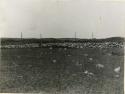 Cemetery at Vincent Farm