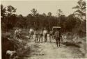 Photo of seven men, dog and wagon