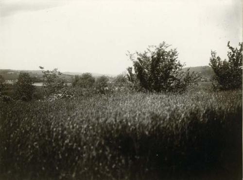 Village site near Kimmswick, MO, Bushnell