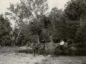 Men in buggy pulled by horse.