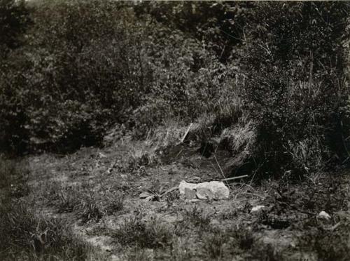 Excavation. Near Salt Spring