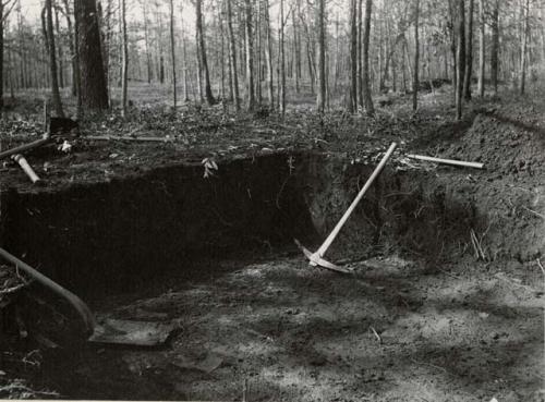 Section of mound on Iron Mountain Property