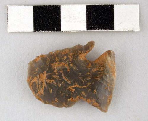 Chipped stone projectile point, corner-notched, one barb missing