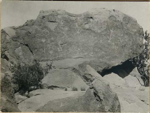 Petroglyphs between Zia & Jemez, incised animal and human figures