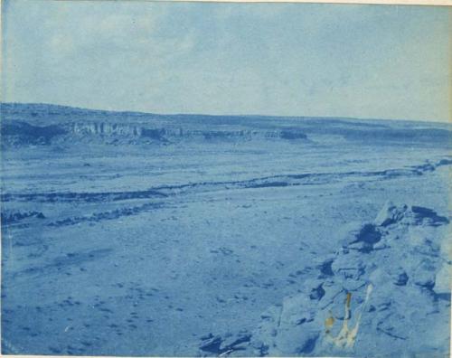 View down the canon from top of the mesa showing line of arroya