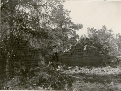 Wall, Cebolleta Mesa