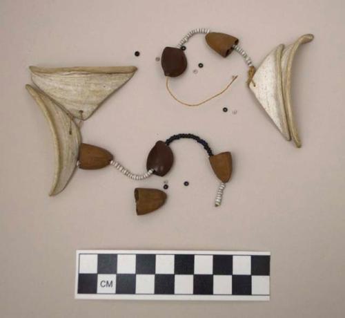 One pair of ornaments on string (earrings). shell, pods, beads