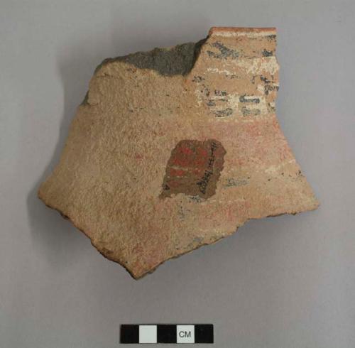 Rim sherd from a jar, narrow mouth, flared rim, black on white and red linear and geometric designs on exterior, red slip on interior rim - tonto polychrome