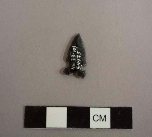 Projectile point, side-notched, eared, basal notched; flaked obsidian